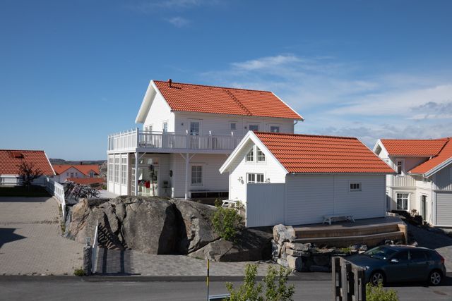 Strandsnäckan bild 5